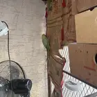 محميه كامله لبيع