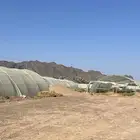 بيوت محمية