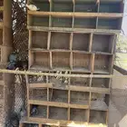 للبيع فراخه فرنسي سلفر وزاجل