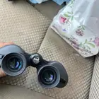 دربيل بوشينال