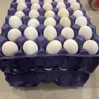 بيض دجاج عربي للبيع