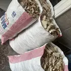 خبز