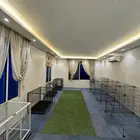 فندقة كلاب على مستوى عالي