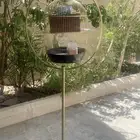 طيور الحب زوج بادجي