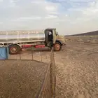 وايت حصنيه جفالي للبيع