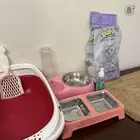 مستلزمات قطط