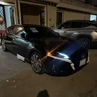 التيما 2025 ممشى 10 الف مصدوم