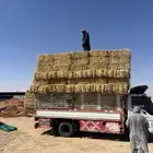 تبن بر صافي