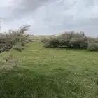 نستقبل التمر الناشف للحلال لحسان النعمة