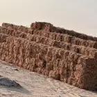 ذره جيزانيه