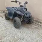 دباب