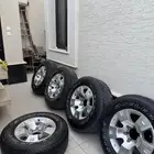 جنوط فتك سفاري