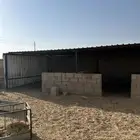 زنك للبيع مع حديده