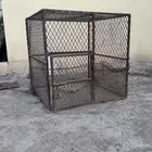 شبك دجاج