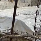 طربال شراع للعلف البرسيم شي طيب ويدوم ومتوسط الوزن