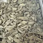 دقة عود مروكي آصقون طبيعي