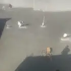 صبيه ميول