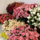 مندوب جده هدايا ورد طلبات خاصه