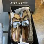 حذاء