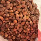 تمور أعلاف للمواشي نظيف محصول السنة