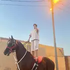 حصان