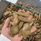 تصفيه على مجموعة اعواد البيع جمله
