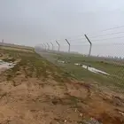 شبوك سياج