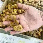 سكري ماكي فاخر