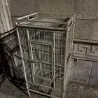 قفص طيور كبير