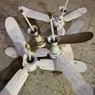 مروحة سقف غرفة كهرب 110