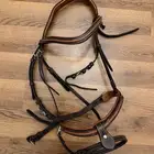 مستلزمات متورده للخيل