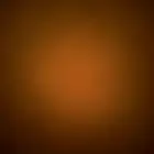 ابي قط لتبني مؤقت