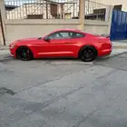 جنوط موستنج