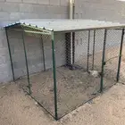 بريده