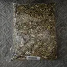 اكل كروان و فشير 6 ك