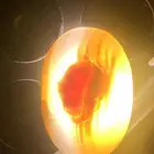 حجر عقيق سليماني مصور  راس مقطوع وضح