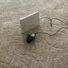 نت للبيع