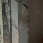 قفص صيصان