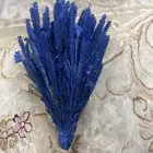 مسكة عروس للبيع