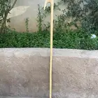 مشعاب نشم