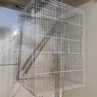 قفص طيور