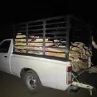 ونيت لتحميل التمور
