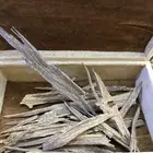 بخور طبيعي لقطه
