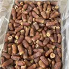 برني العيص