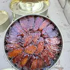 صفري ترج انتاج آلسنه