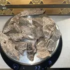 عود كمبودي