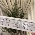 لوحه قفل ارقام وتكرار حروف الموقع بيشه