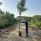 مشاتل زراعية مشتل زراعي