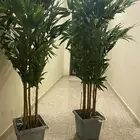 تحف وأشجار
