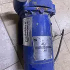 ديلمة سمنان امريكيه 1 حصا ن